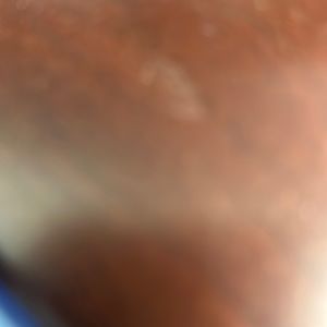 Shampoo and conditioner never open just sent to much on a monthly renewal order